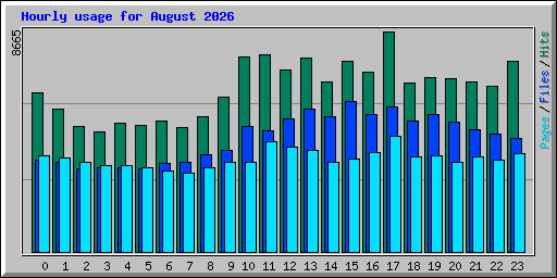 Hourly usage for August 2026
